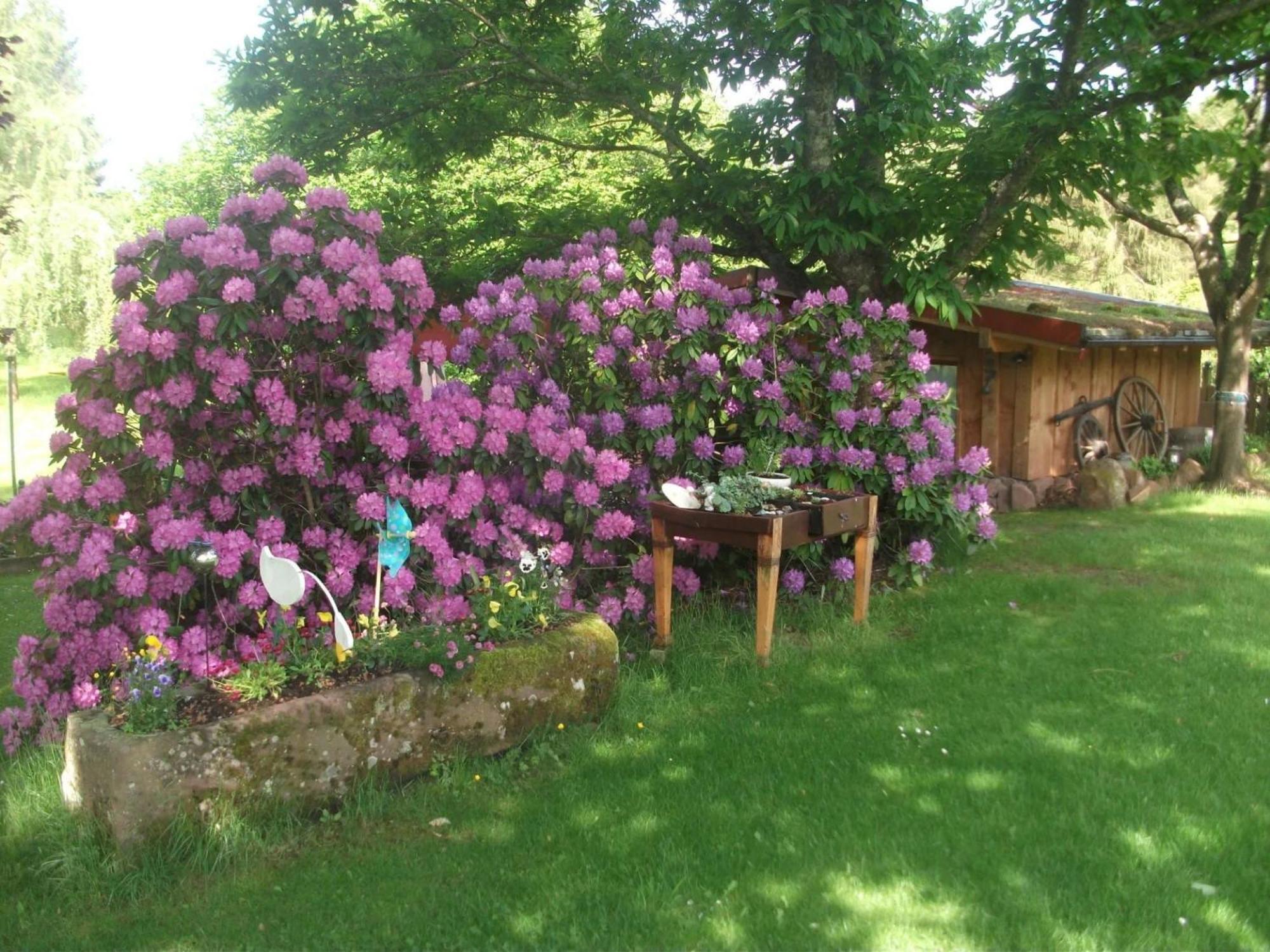 Ferienwohnungen 'Blick Zur Madonna' Fischbach 外观 照片